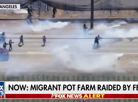 Ice protesters at pot farm during raid